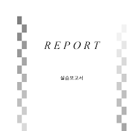 레포트표지 (19) 레포트표지 (19)